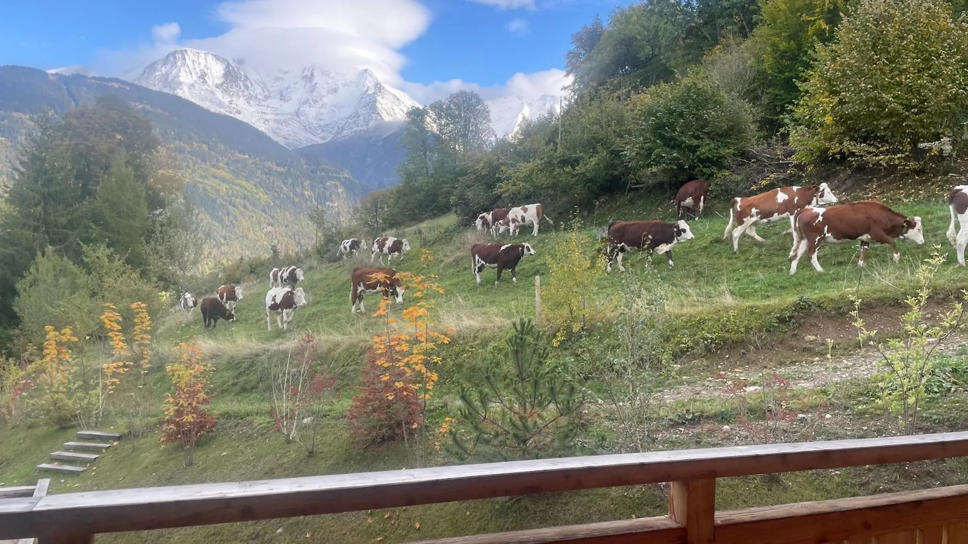 Chalet Prestige Saint Gervais Les Bains